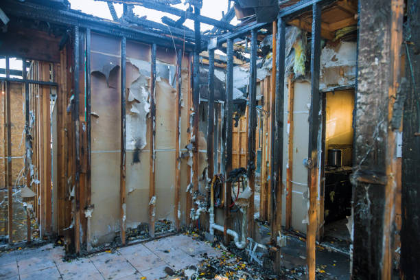 Professional Odor Removal technician working in Terrell, TX
